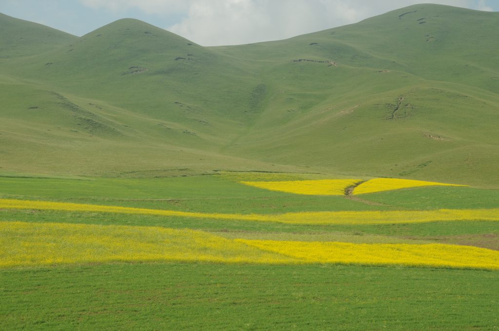 图片[2]-魅力新疆图库新疆德令哈风光-战友联盟