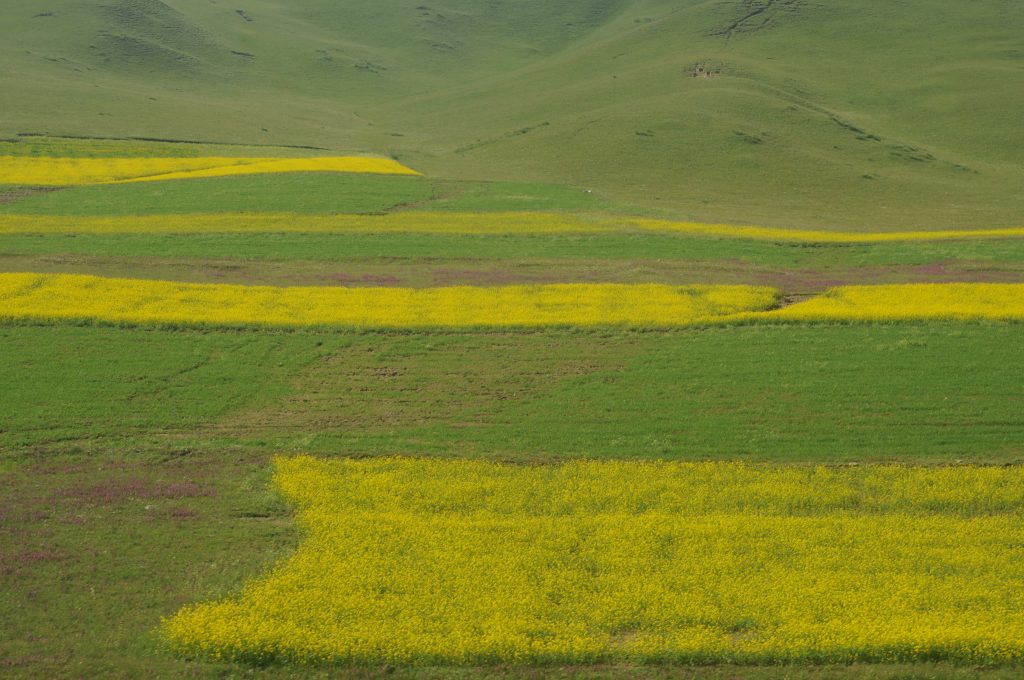 图片[3]-魅力新疆图库新疆德令哈风光-战友联盟