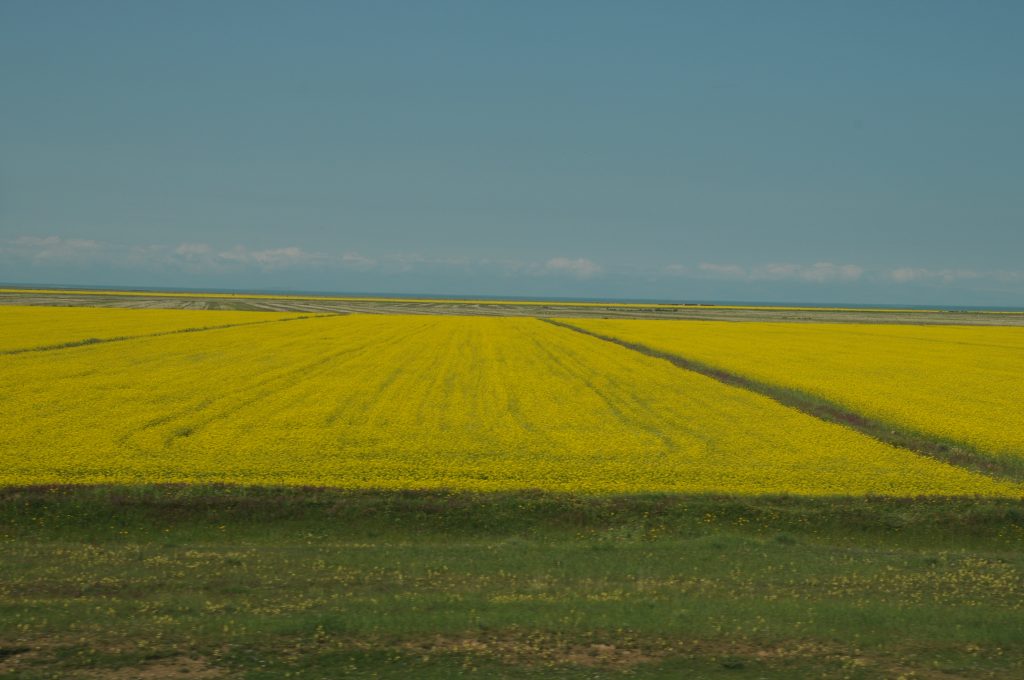 图片[7]-魅力新疆图库新疆德令哈风光-战友联盟