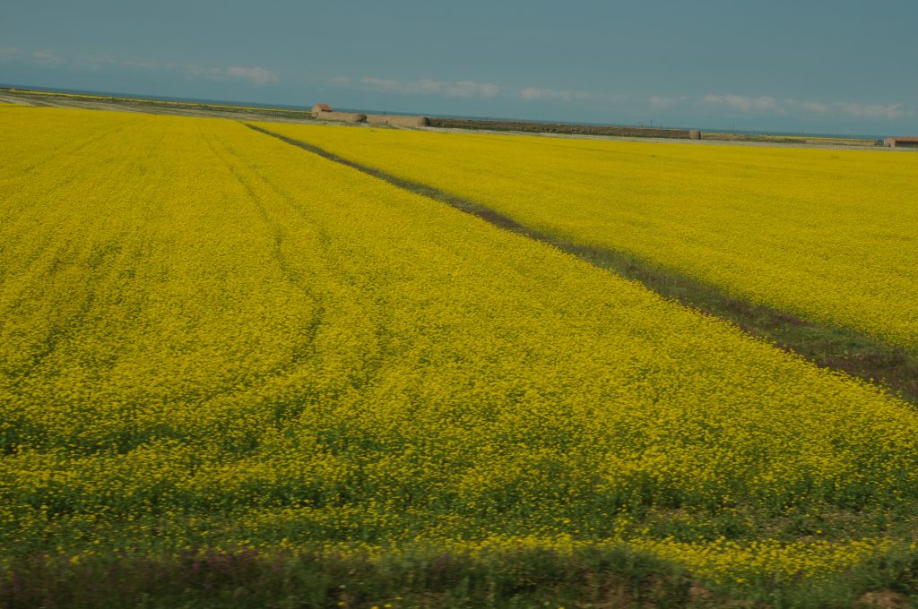 图片[8]-魅力新疆图库新疆德令哈风光-战友联盟