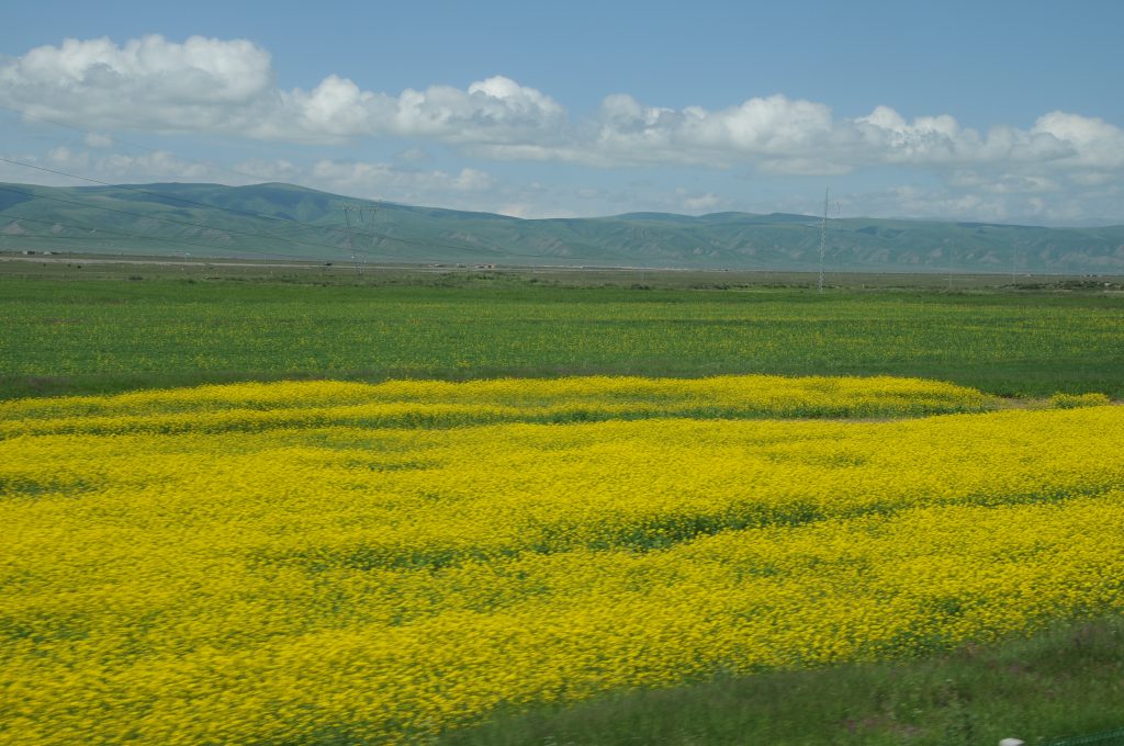 图片[10]-魅力新疆图库新疆德令哈风光-战友联盟