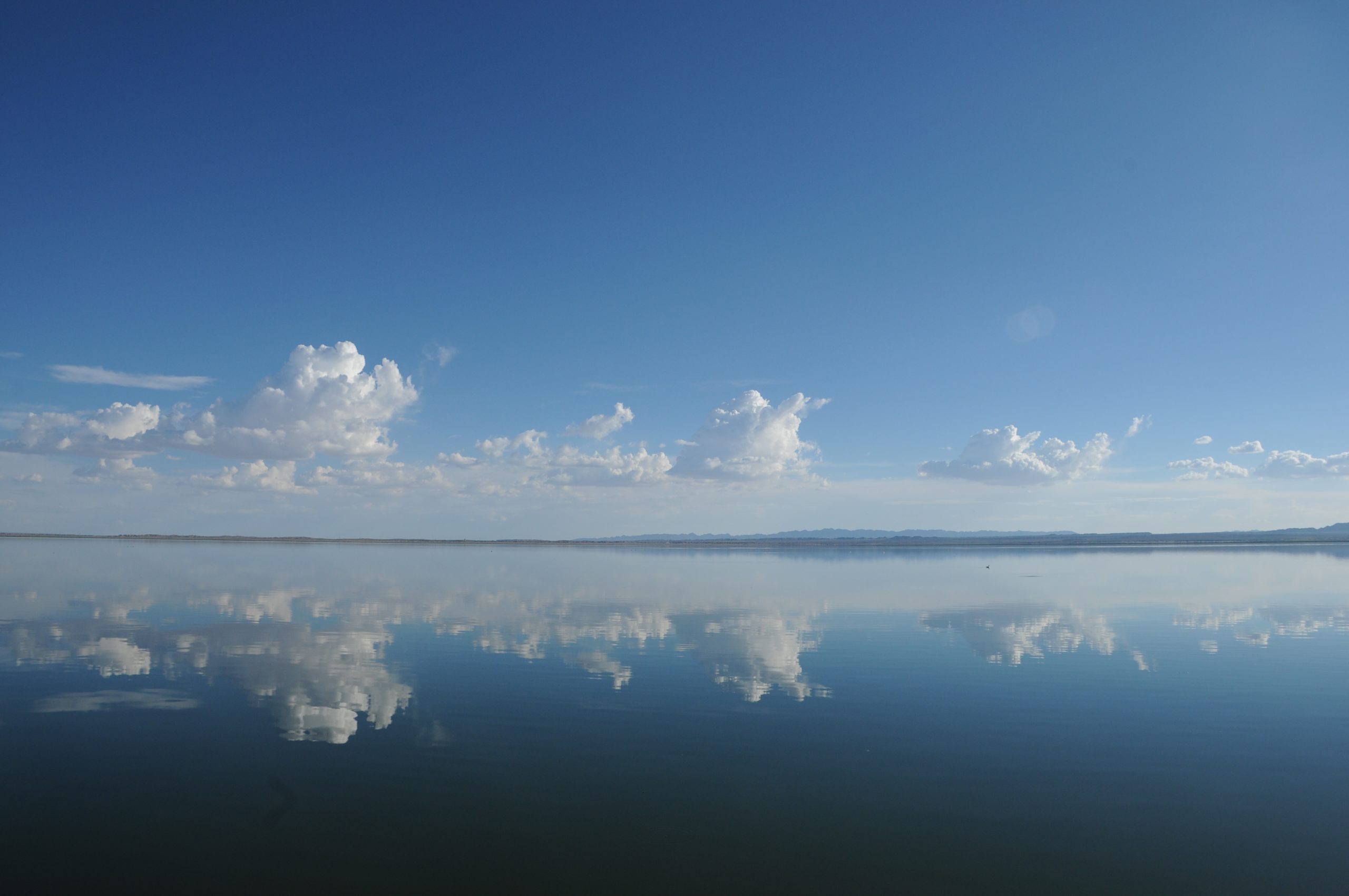 供货信息：生物质柴油-战友联盟